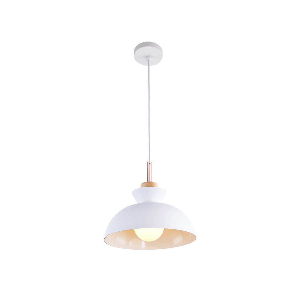 Craftsman Style 1-Light Single Dome Pendant Light