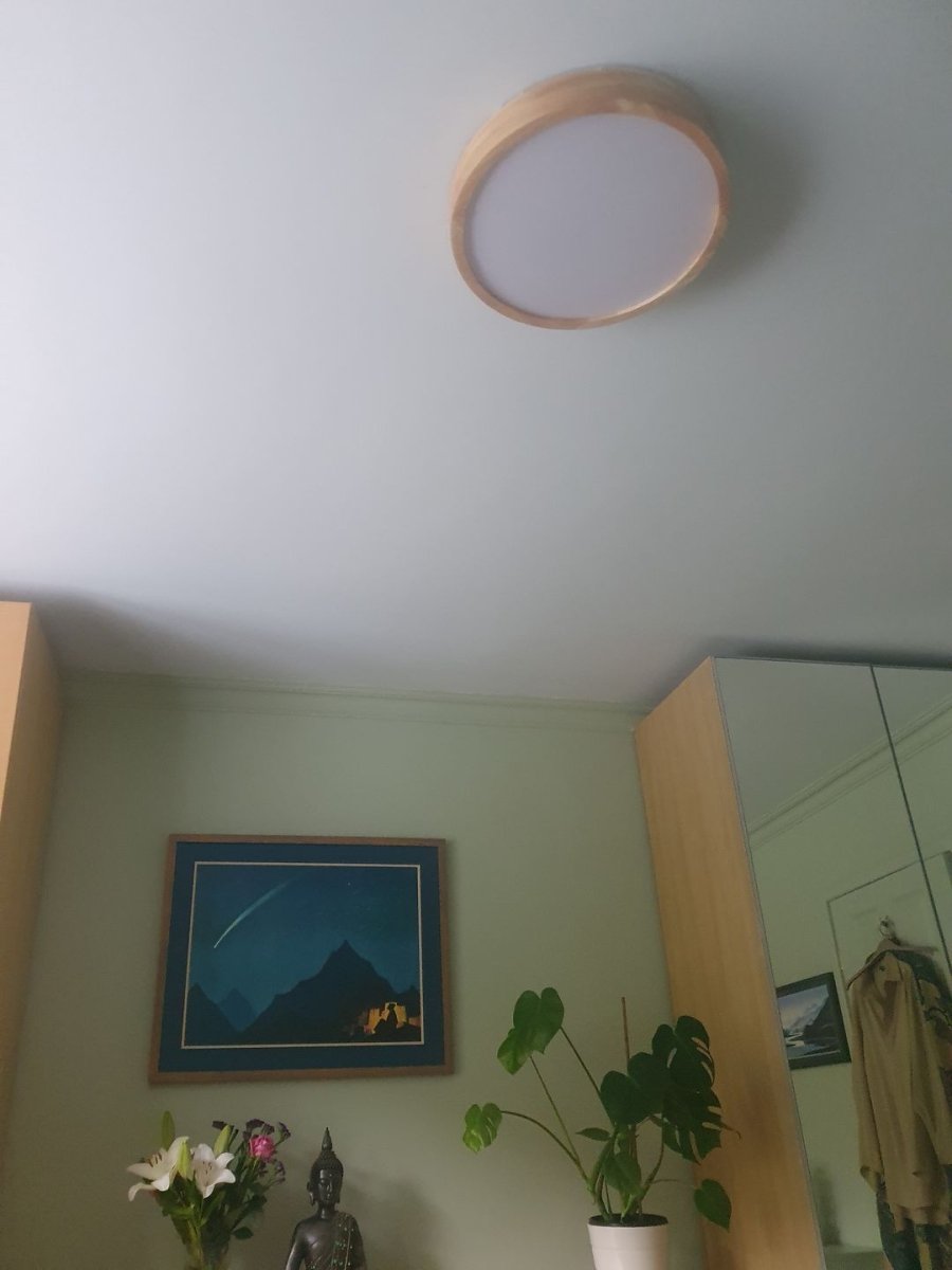 Scandinavian Dimmable Wood LED Flush Mount Light